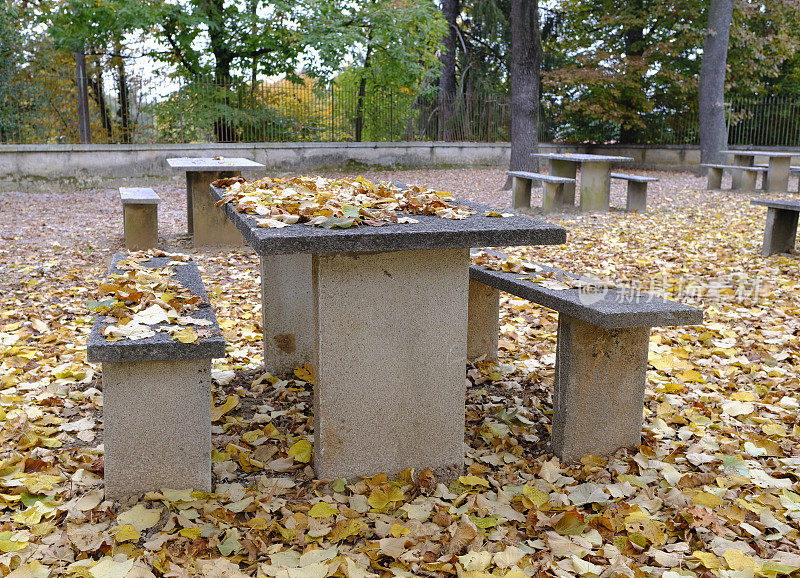 秋天的野餐区