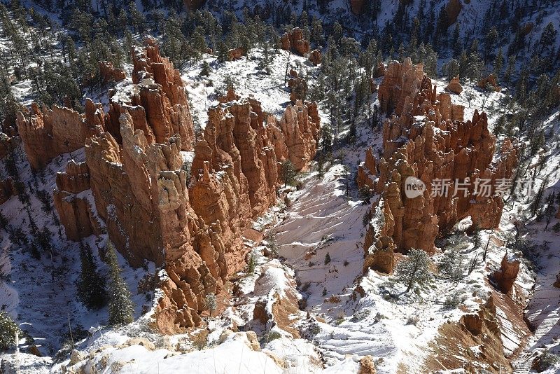 布莱斯峡谷与雪