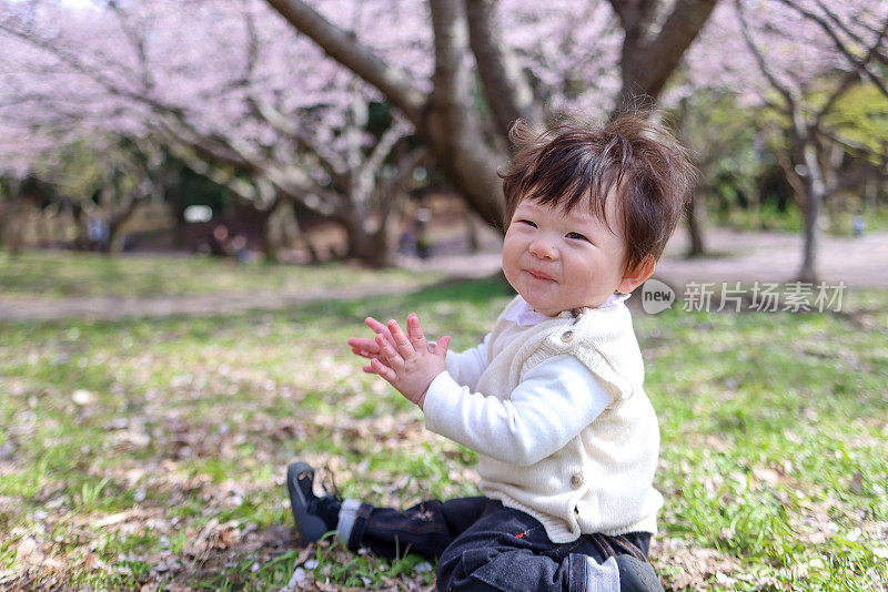 小孩子在樱花下玩耍