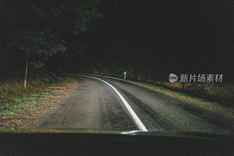 晚上开车穿过澳大利亚的森林。