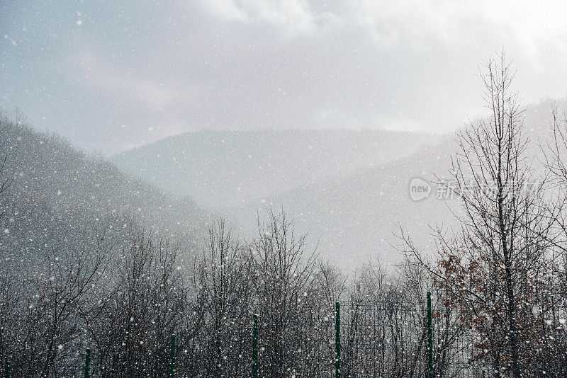 暴风雪