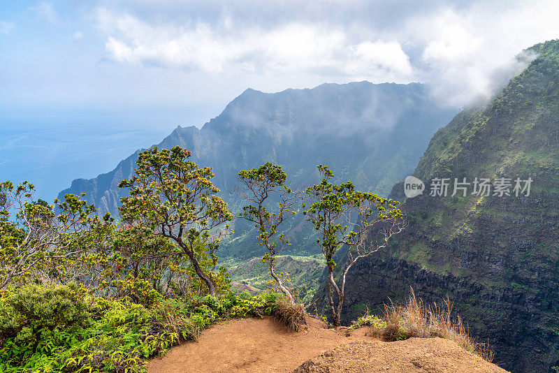 夏威夷考艾岛的海岸线