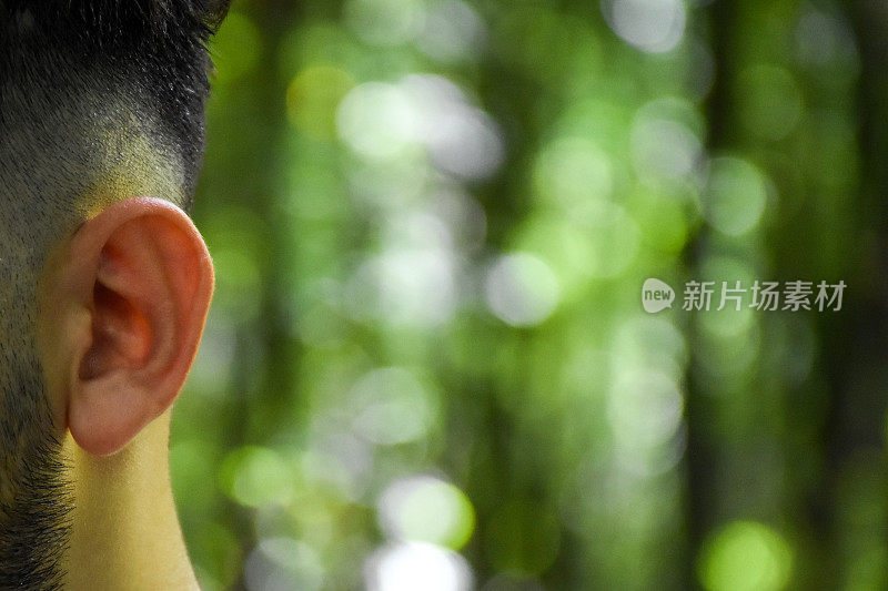 人的耳朵与绿色的自然背景