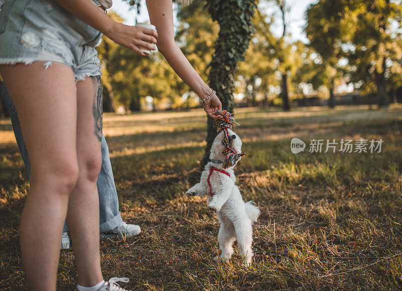一只可爱的小狗在公园里蹦蹦跳跳，和两个女人一起玩耍