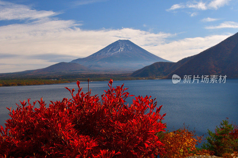 富士五湖秋叶色:元土湖