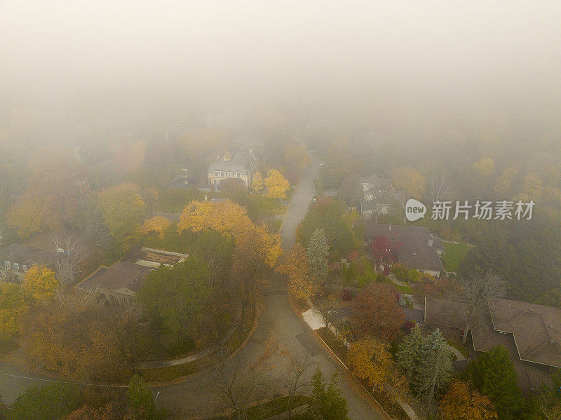 独立和复式住宅，北约克在秋天，多伦多，加拿大