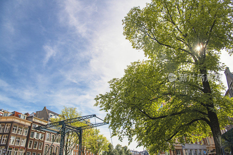 夏天，阿姆斯特丹市中心运河区的运河房屋和桥梁