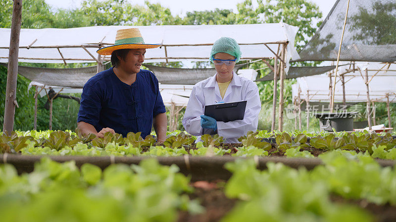 女性植物学家和农民分享见解和想法。