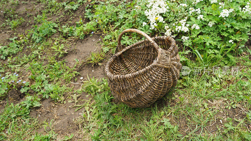 后院草地上的编织篮子。