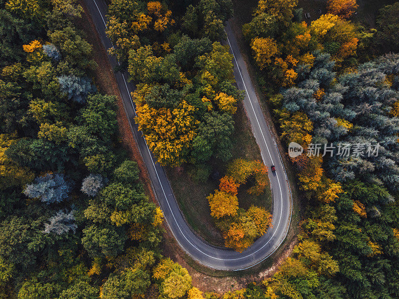 一辆汽车在阳光明媚的秋季森林中行驶的高角度视图