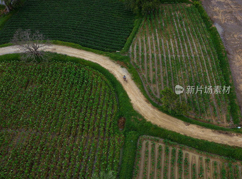 安江省一条穿过稻田和菜地的乡村公路的航拍照片