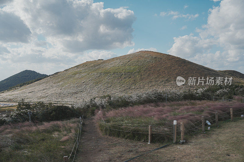 芦苇Oreum(济州岛)