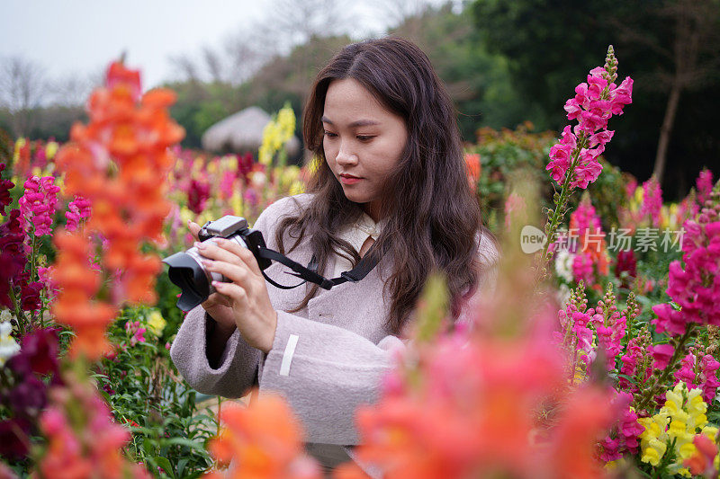 女游客拍照