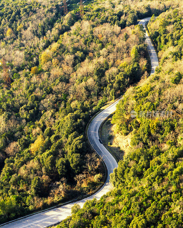 乡村道路在森林，基安蒂地区，托斯卡纳，意大利