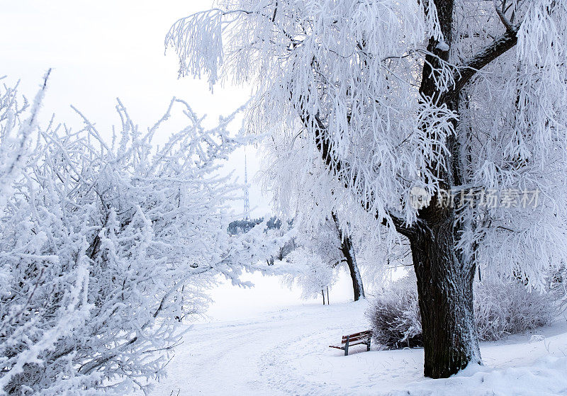 冬天的风景。公园里的树木被霜覆盖，湖面被冰覆盖，步道被雪覆盖。无线电塔对着天空。