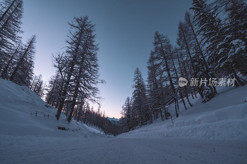 白雪覆盖的山路穿过森林