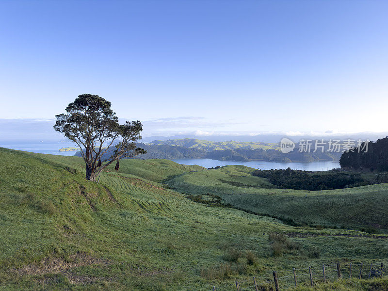 新西兰北岛的风景