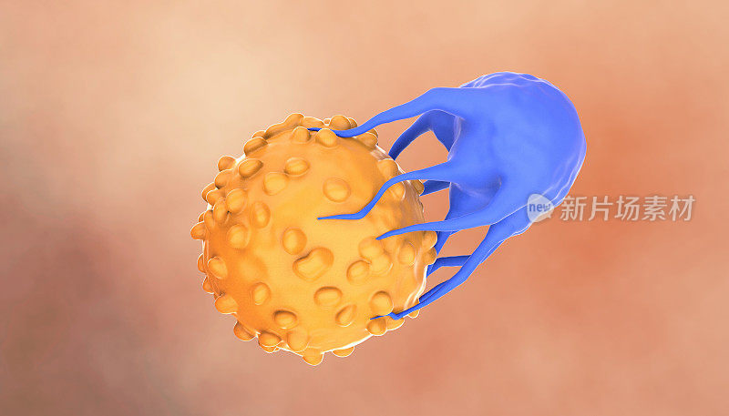 靶向癌细胞的CAR-T细胞疗法
