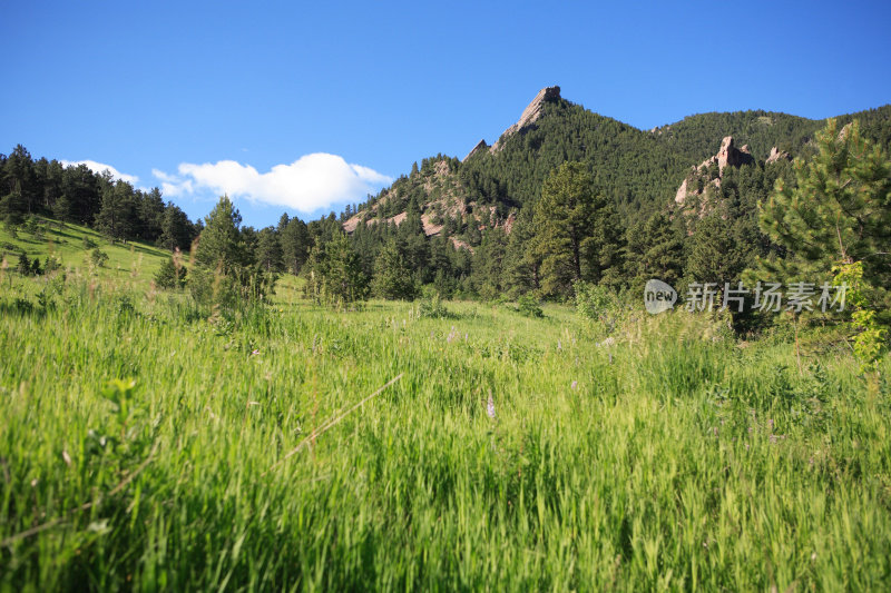 草木丛生的山坡和山峰