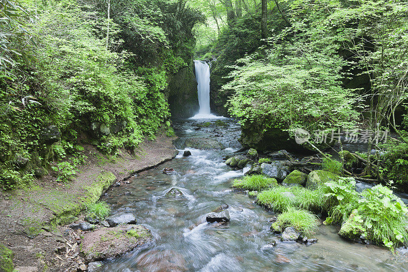 森林里的日本小瀑布