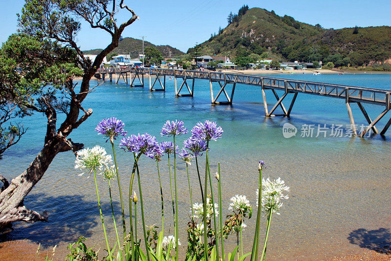 新西兰北岸旺阿雷区河口上的帕塔瓦大桥