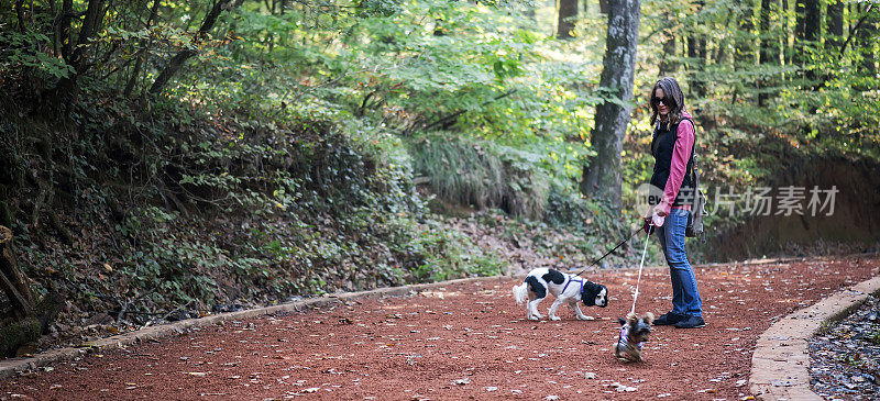 小女孩和小狗在森林里散步