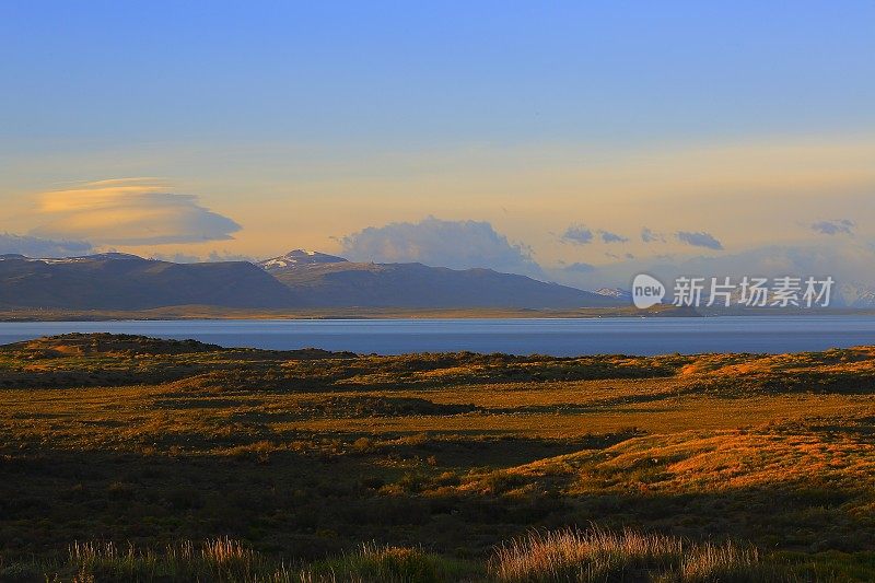 阿根廷湖，日出时的潘帕草原，巴塔哥尼亚，卡拉法特