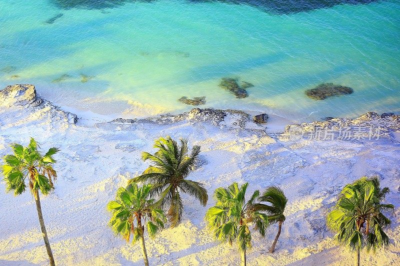 热带天堂日落:空中阳光明媚的桑迪加勒比棕榈树海滩