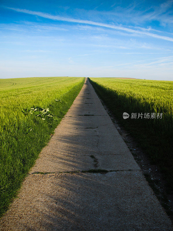 小路，葱郁的草地，蔚蓝的天空