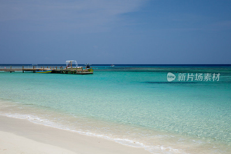 在加勒比海浮潜