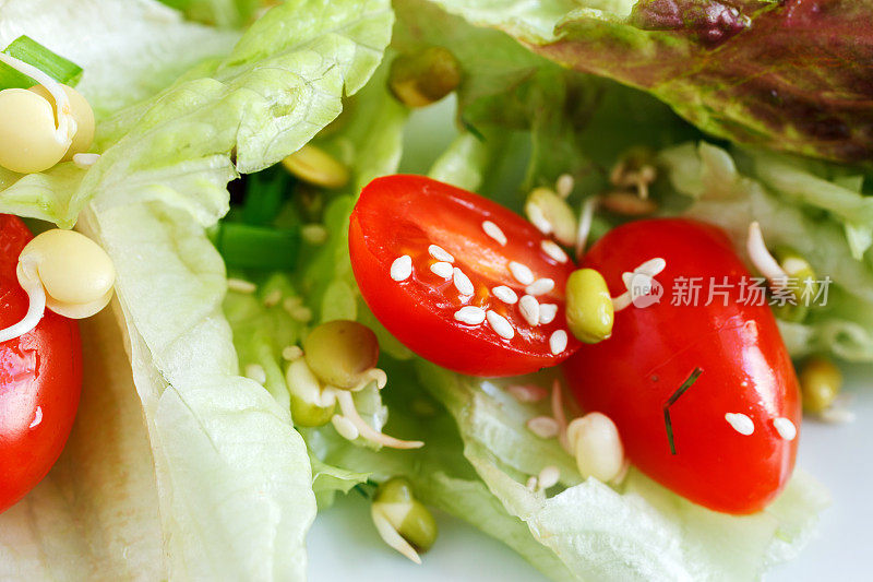 沙拉、豆芽和种子