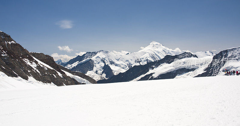 Aletschhorn,瑞士阿尔卑斯山