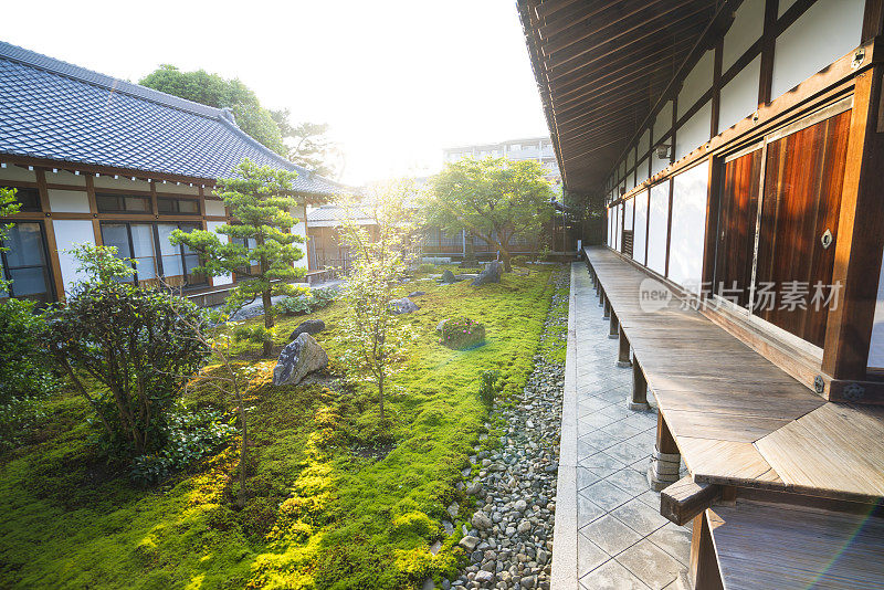 太阳在日本京都泉寺禅宗花园