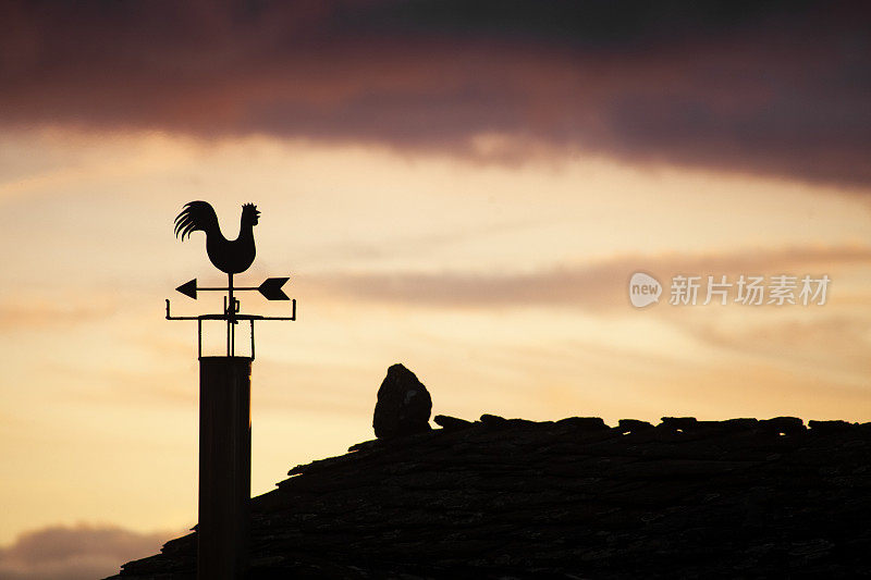 公鸡形状的风向标，夕阳背景。