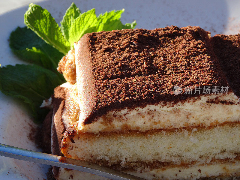 多层咖啡提拉米苏蛋糕与巧克力，薄荷枝