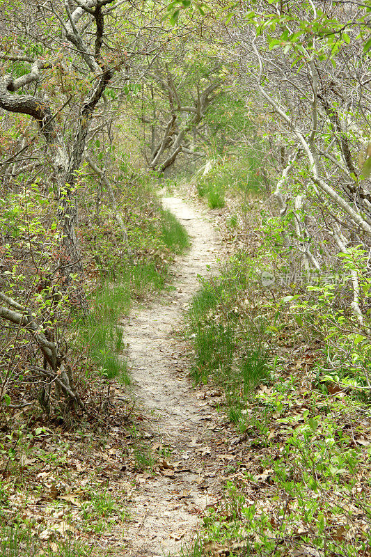 小沙路