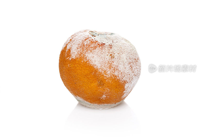 腐烂发霉的橙子
