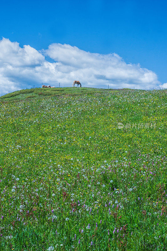 山川景色