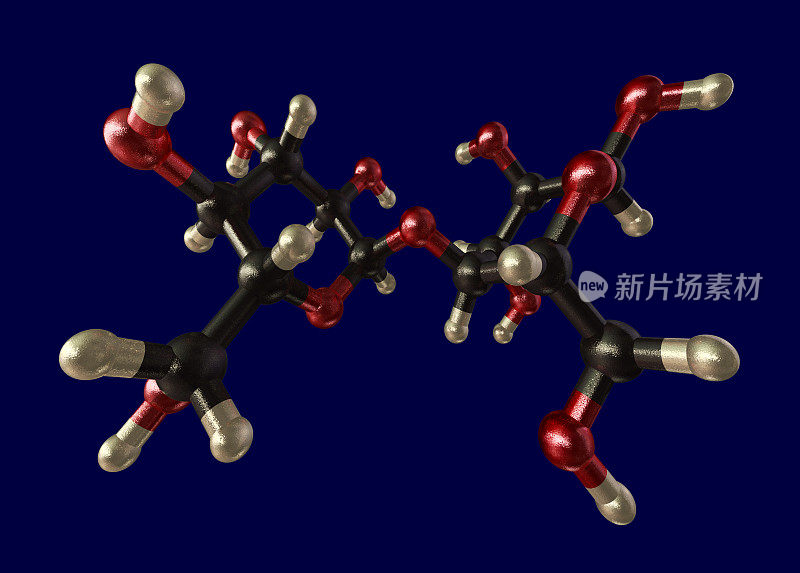 淀粉模型