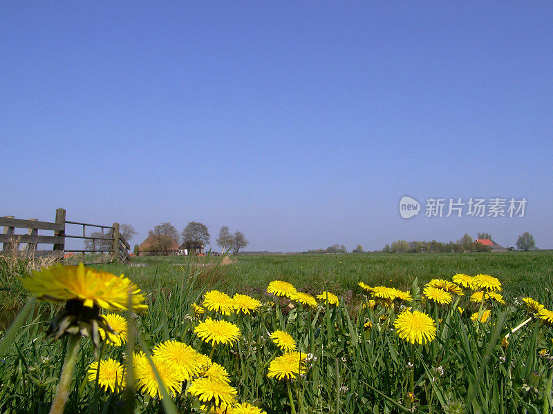 美丽的草原