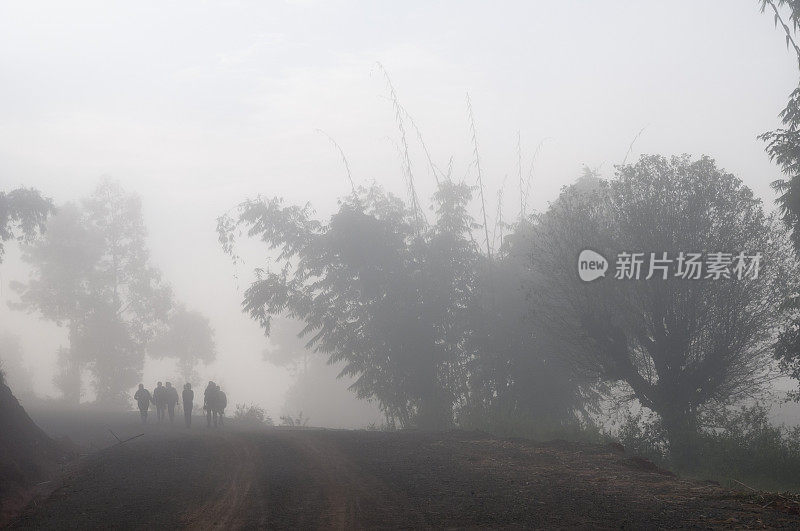 缅甸Kalaw附近，游客在迷雾中徒步旅行