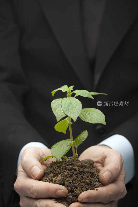 手捧着新生长的植物