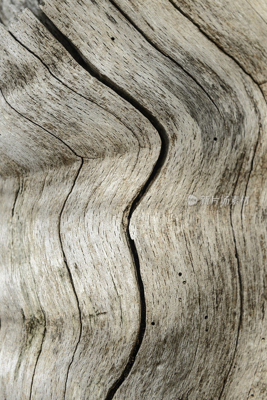 木结构背景，线条弯曲