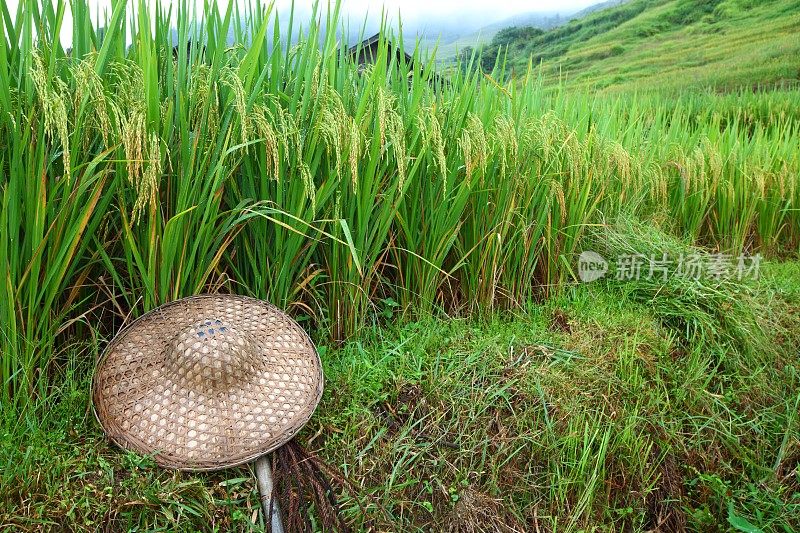 隆基梯田水资源