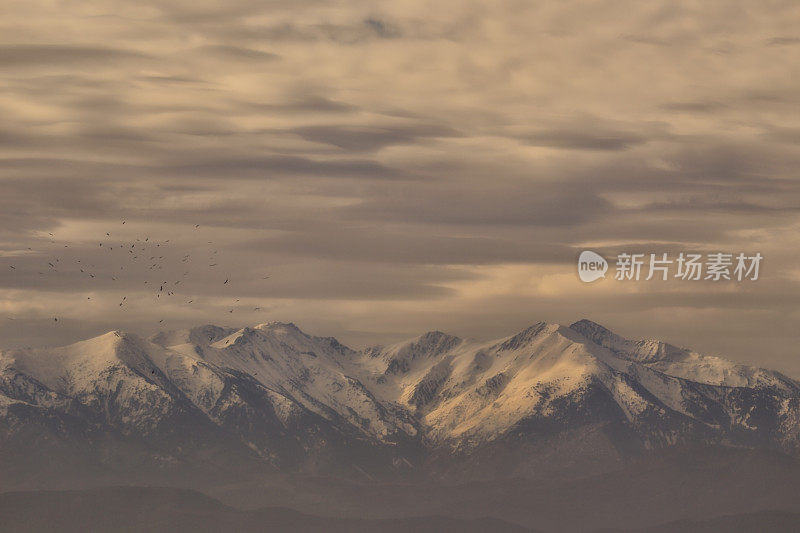 马西夫杜卡尼古蜂巢