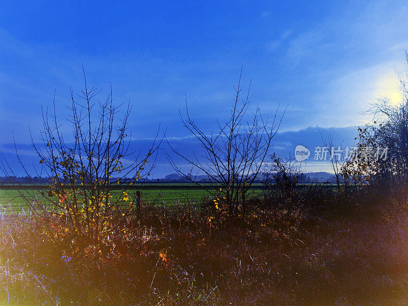 从小路上望去，穿过典型的英国乡村风景——绿树成荫的田园风光——在阳光明媚的日子里徒步行走风景郁郁葱葱