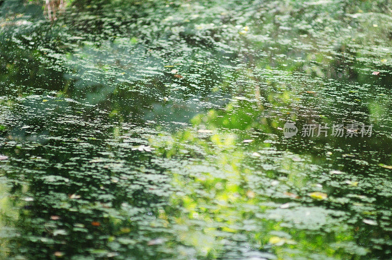 绿塘抽象背景