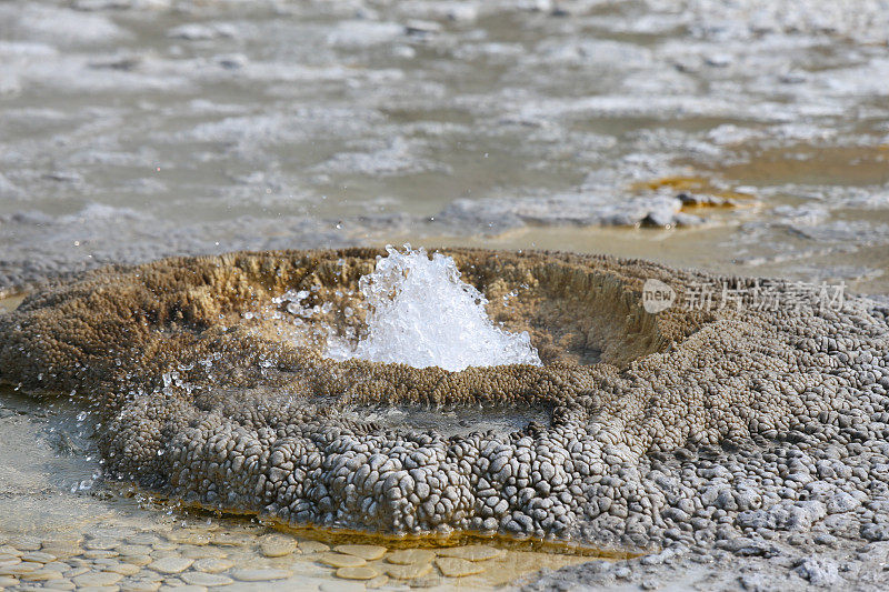 黄石国家公园的火山喷水间歇泉