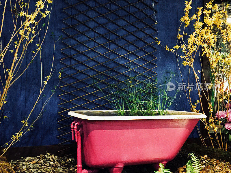 浴缸花盆装满植物