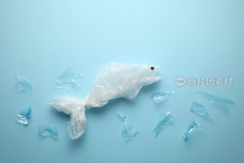 海洋里的塑料动物。人为污染自然的问题